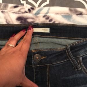 Day trip jeans by BUCKLE. 32XL